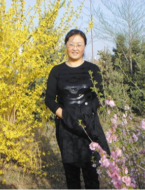何莉莉