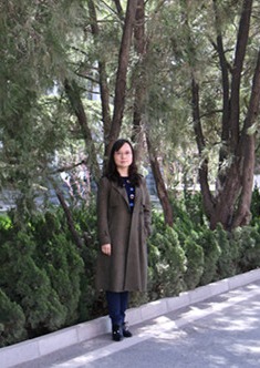 杨懋